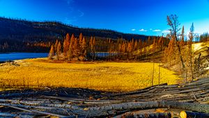 Preview wallpaper landscape, trees, river, autumn, nature