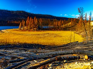 Preview wallpaper landscape, trees, river, autumn, nature