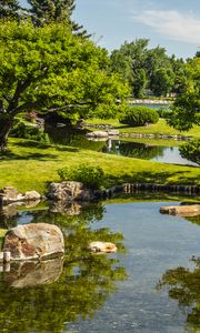 Preview wallpaper landscape, trees, stones, pond, grass