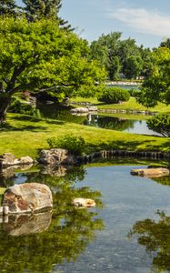 Preview wallpaper landscape, trees, stones, pond, grass