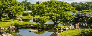 Preview wallpaper landscape, trees, stones, pond, grass