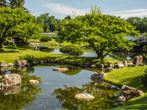 Preview wallpaper landscape, trees, stones, pond, grass