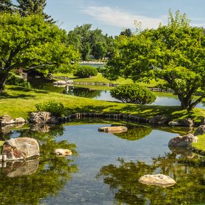 Preview wallpaper landscape, trees, stones, pond, grass