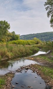 Preview wallpaper landscape, trees, stream, nature