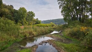 Preview wallpaper landscape, trees, stream, nature