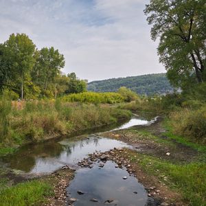 Preview wallpaper landscape, trees, stream, nature