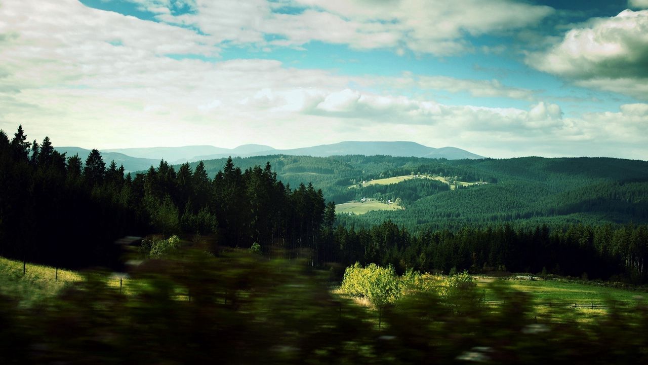 Wallpaper landscape, trees, wood, degradation