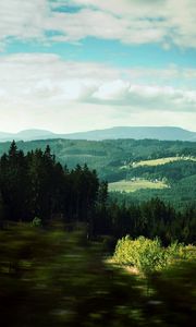 Preview wallpaper landscape, trees, wood, degradation