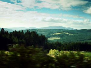 Preview wallpaper landscape, trees, wood, degradation