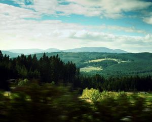 Preview wallpaper landscape, trees, wood, degradation