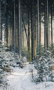 Preview wallpaper landscape, winter, snow, forest, nature