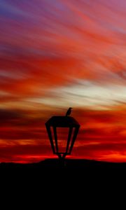 Preview wallpaper lantern, bird, silhouette, sunset