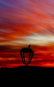 Preview wallpaper lantern, bird, silhouette, sunset