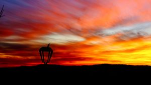 Preview wallpaper lantern, bird, silhouette, sunset