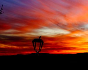 Preview wallpaper lantern, bird, silhouette, sunset