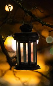 Preview wallpaper lantern, branch, blur, bokeh