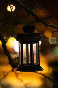 Preview wallpaper lantern, branch, blur, bokeh