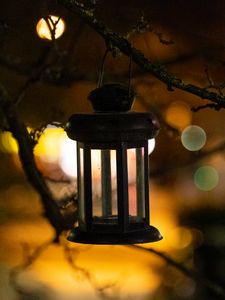 Preview wallpaper lantern, branch, blur, bokeh