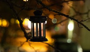 Preview wallpaper lantern, branch, blur, bokeh