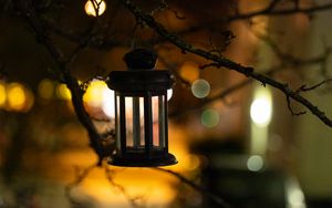 Preview wallpaper lantern, branch, blur, bokeh