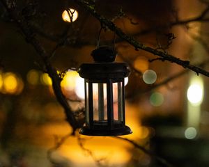 Preview wallpaper lantern, branch, blur, bokeh