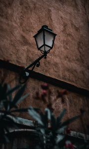 Preview wallpaper lantern, building, plants