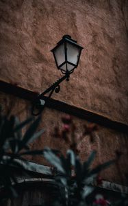Preview wallpaper lantern, building, plants