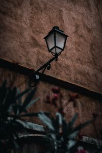 Preview wallpaper lantern, building, plants