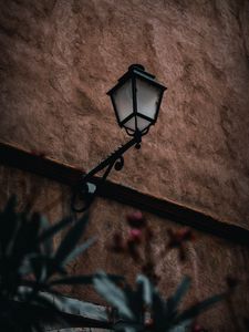 Preview wallpaper lantern, building, plants