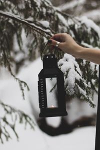 Preview wallpaper lantern, fire, hand, branch, tree, snow