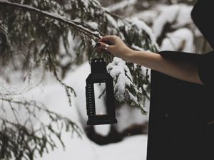 Preview wallpaper lantern, fire, hand, branch, tree, snow