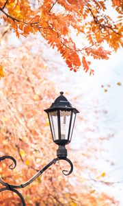 Preview wallpaper lantern, focus, autumn, metal