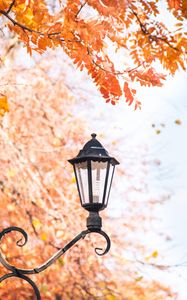 Preview wallpaper lantern, focus, autumn, metal