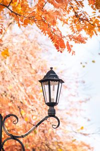 Preview wallpaper lantern, focus, autumn, metal