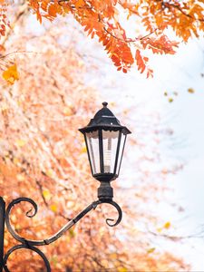 Preview wallpaper lantern, focus, autumn, metal