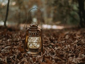 Preview wallpaper lantern, garland, light, glow