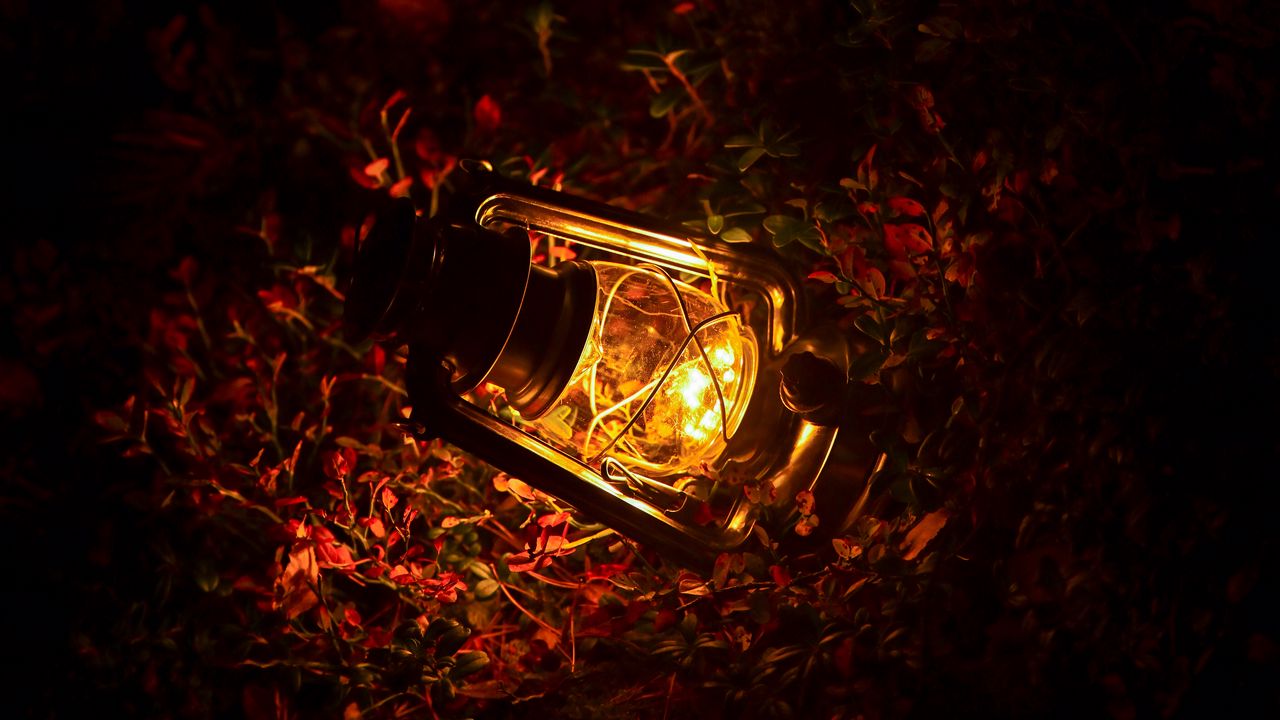 Wallpaper lantern, glow, leaves, dark