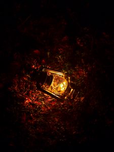 Preview wallpaper lantern, glow, leaves, dark