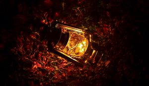 Preview wallpaper lantern, glow, leaves, dark