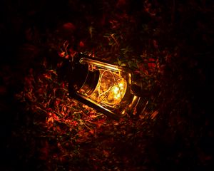 Preview wallpaper lantern, glow, leaves, dark