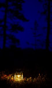 Preview wallpaper lantern, glow, night, forest