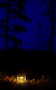 Preview wallpaper lantern, glow, night, forest