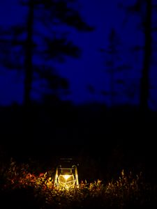 Preview wallpaper lantern, glow, night, forest