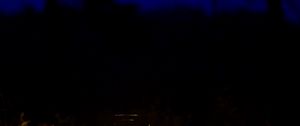 Preview wallpaper lantern, glow, night, forest