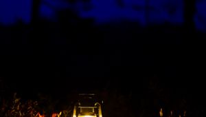 Preview wallpaper lantern, glow, night, forest