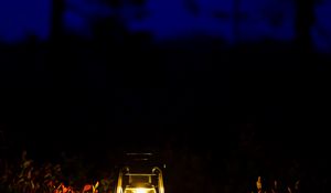 Preview wallpaper lantern, glow, night, forest
