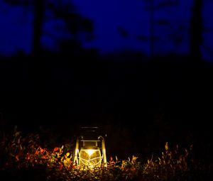 Preview wallpaper lantern, glow, night, forest