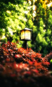 Preview wallpaper lantern, leaves, trees