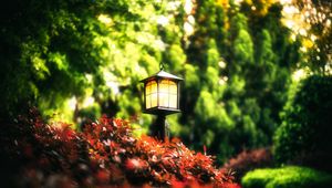 Preview wallpaper lantern, leaves, trees