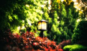 Preview wallpaper lantern, leaves, trees